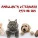 Dr. Micu Adrian - Cabinet Veterinar