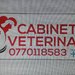 Dr. Micu Adrian - Cabinet Veterinar